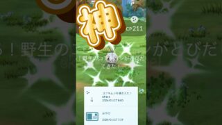 【ポケモンGO】キラーメ効率よくGET！ルートから色違い100％？ポケパークカントー楽しみ！ #レイドアワー #shorts