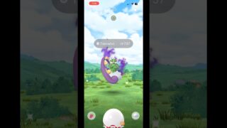 【ポケモンGO】サカキ対戦でSトルネロスゲット！！防御が攻撃だったら、、、、まぁ仕方ないな！#ポケモンgo #pokemongo #pokemon