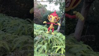 サルノリ｜Grookey｜ヒコザル｜Chimchar｜ShinyPokémon【ポケモンGO】PoKeMoN GO AR｜AR動画｜GOsnapshot｜gophotobomb