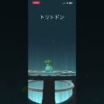 HL参入にあたってトリトドンをフル強化！　 #ポケモンgo #pokemongo #ポケモン #pokemon #gbl