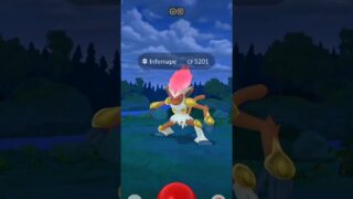 I Caught a HIGH CP INFERNAPE 😱🔥 | Pokémon GO