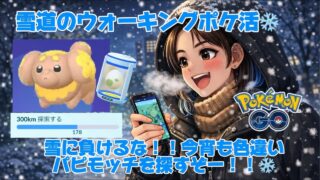 【LIVE配信】今宵もパピモッチ色違い探し！！雪道のウォーキングポケ活🚶‍♀️❄️
