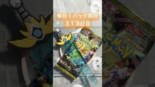 毎日１パック開封 ３１３日目(１／３０) #ポケモンカード MEGAドリームex #ポケカ #ポケモン #ポケカ開封 #pokemon #pokemoncards #pokemontcg #tcg