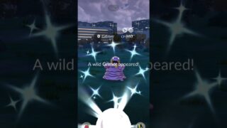 POKEMON GO SHINY ALOLAN GRIMER CATCH 🌈 Rare Alola Regional Shiny!