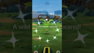 POKEMON GO SHINY HOPPIP CATCH 🎈 Wild Precious Pals Event Luck!