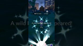 POKEMON GO SHINY PURRLOIN CATCH 🐱 Wild Unova Shiny Encounter!