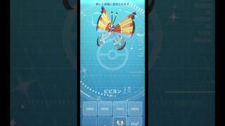 念願のビビヨン色違いゲット🥹#ポケモン #Pokemon #ポケモンgo #pokemongo #ポケモン好きと繋がりたい #vivillon