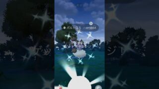 [PokemonGO] レイド：色違いボルトロスゲット！ #ポケモンgo