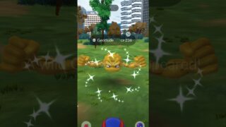 SHINY GEODUDE CATCH! 🪙 Gold Wild Luck in Pokémon GO!