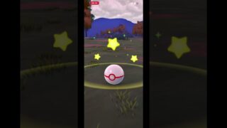 ✨Shadow Shiny Cresselia in Pokemon GO ✨#pokemongo #shinypokemon #ポケモンGO #pokemon