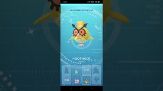 Shiny Costumed Hoothoot