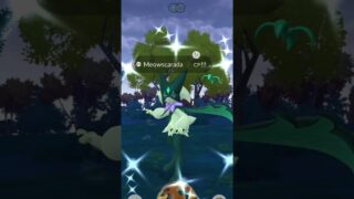 Throwback to last year’s Pokemon Go wild Area and getting my hands on this shundo 👀😼✨