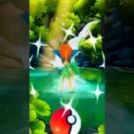 🤯 World’s first ✨️ shiny keldeo in pokemon go.