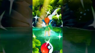 🤯 World’s first ✨️ shiny keldeo in pokemon go.