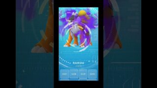 caught shiny raikou in Pokemon go let’s see #viral #shorts @wyperrex2