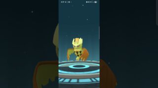色違いの,ホーホーから,ヨルノズクに進化する瞬間‼️ #ポケモンgo #色違いポケモン