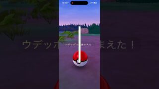 #ポケモンgo #タスク報酬#色違い#ウデッポウ