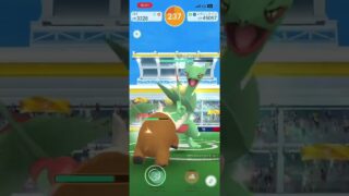 氷タイプで攻めれば基本的に初心者でもソロ討伐可能です#初心者#ポケモンgo