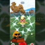 寝正月してたら色違い出た #ポケモンgo