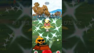 寝正月してたら色違い出た #ポケモンgo