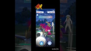 ハイパーでエンペ龍龍パーティ！#ポケモンgo #ポケモン#ハイパーリーグ #gbl