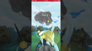 無課金伝説厨のマスターリーグ #ポケモンgo #gbl