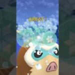 【マスターリーグ】ザシアンカイオーガは鉄板！あとはパルキアに強いポケモンいれば勝てそうなマスター#ポケモンgo #gblpokemongo