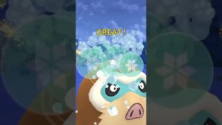 【マスターリーグ】ザシアンカイオーガは鉄板！あとはパルキアに強いポケモンいれば勝てそうなマスター#ポケモンgo #gblpokemongo