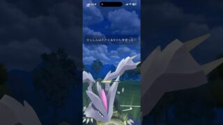 ハイパーリーグでもキュレムがいい感じ！今日ゲットした個体でぜひ挑んでみてほしい #ポケモンgo #goバトルリーグ #キュレム