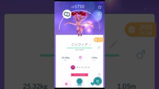 デカい！ニンフィア / エーフィ / ブラッキー ！【 ポケモンgo 】ダイマックスブイズコンプリート！#ポケモン #pokemon #ポケモンgo #pokemongo #ダイマックス #ブイズ