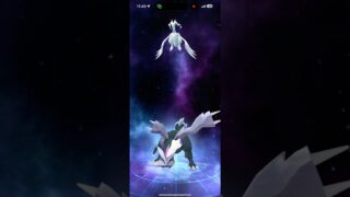 初！ホワイトキュレムの色違い完成！！ #ポケモンgo #pokemongo #ポケモン #色違い