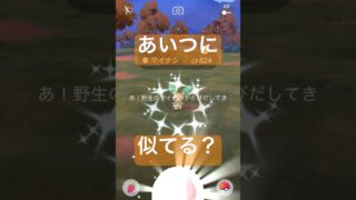 野生の色違いポケモンを探して捕獲する動画 #ポケモンgo #pokemongo#マイナン