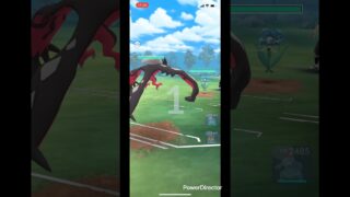 出し負けからです🤣🤣