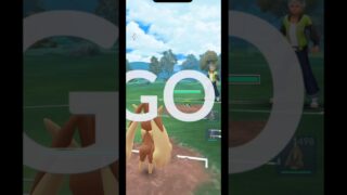 ↑バトル本編は上をタップ