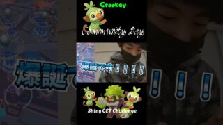 色違い〇〇爆誕なるか！？