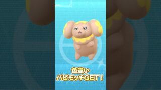 【大切な相棒】色違い初実装パピモッチよ、俺の愛に応えておくれ