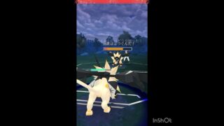 ネクロズマミラー対決😤