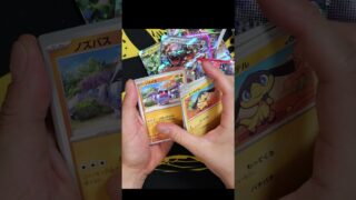 【悲報】ポケモンカード、値上げ