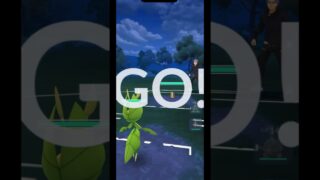 ↑バトル本編は上をタップ