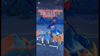 ガラル伝説統一やってみた！