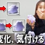 ポケモン好きの女上司は自分の部屋のメタモンぬいぐるみの変化に気付ける？ 徹底検証