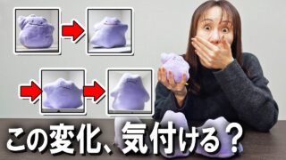 ポケモン好きの女上司は自分の部屋のメタモンぬいぐるみの変化に気付ける？ 徹底検証