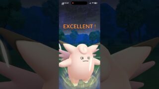 スーパーリーグに今日出てた3匹で挑んでみたんだが…… #ポケモンgo #goバトルリーグ #ピクシー