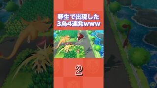 野生で出現した3鳥4連発wwww【ポケットモンスター Let’s Go! ピカチュウ・Let’s Go! イーブイ】