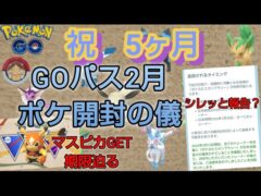【祝　5ヶ月】ポケふたスタンプラリー全トレーナー実装されたらしいよ　ゲーム内で報告出来ないの？急げー　マスクド・ピカチュウちゃんGET期限迫る!!【ポケモンGO】【無課金】
