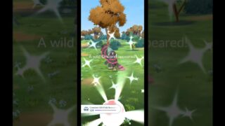 Back To Back To Back Shiny Oricorio 😱 | Pokemon Go |