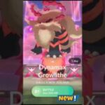 First Ever Dynamax Growlith & Arcanine Raid in Pokemon Go