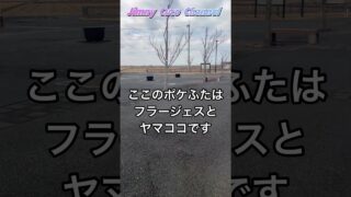 ポケモンGOポケふたスタンプラリー フラージェス ヤマコ 水郷佐原あやめパーク