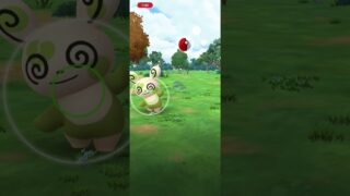 #ポケモンGO  パッチール色違い