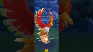 ポケモンGO 【後半戦】通常マスターリーグ ホウオウ、ゼクロム、メタグロス